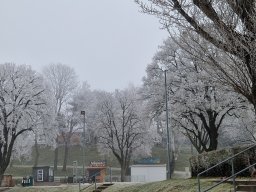 2025 Neujahrstauchen